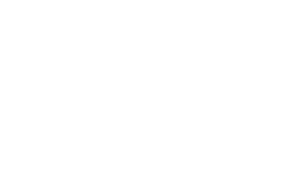 MF Concept